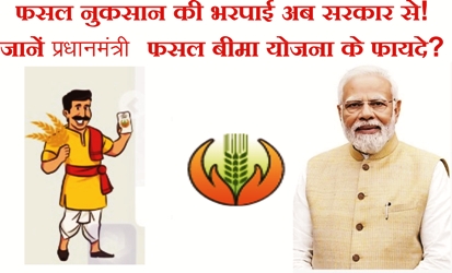 फसल नुकसान की भरपाई अब सरकार से! जानें प्रधानमंत्री फसल बीमा योजना के फायदे?